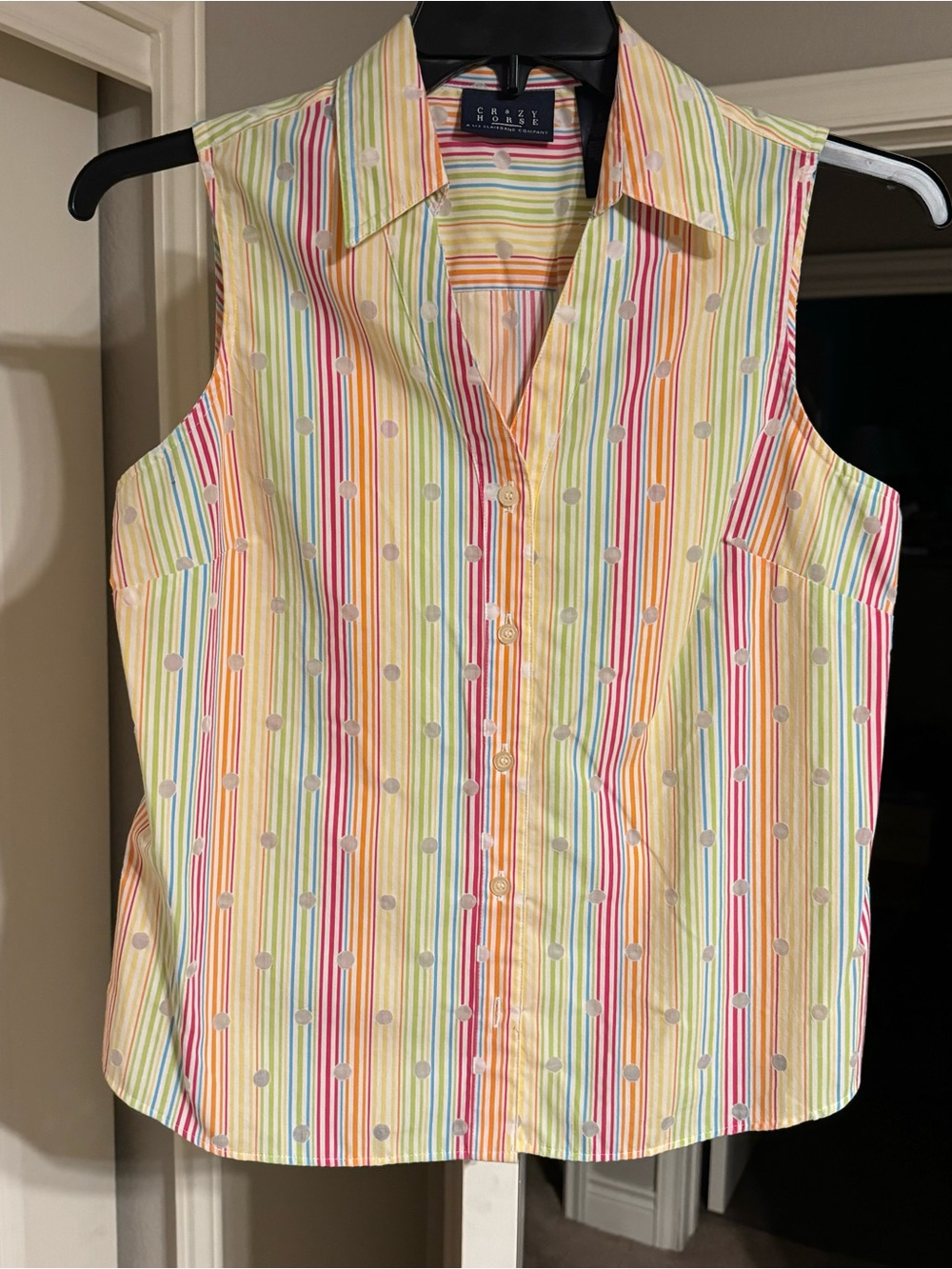 Vintage Crazy Horse Pastel Multi-Stripe Sleeveless Button-Front Camisole